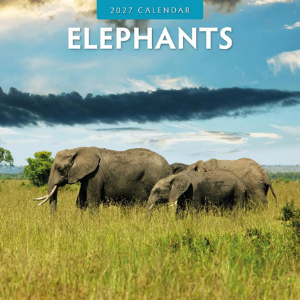 Red Robin Olifanten Kalender 2027