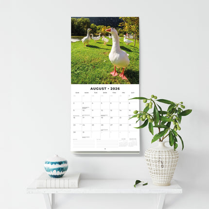 Red Robin On The Farm Kalender 2026