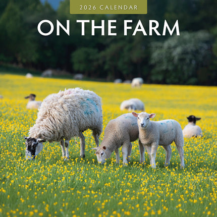 Red Robin On The Farm Kalender 2026