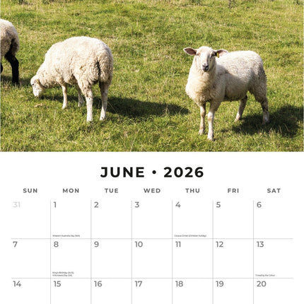 Red Robin On The Farm Kalender 2026