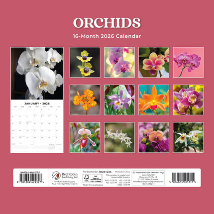 Red Robin Orchidee Kalender 2026