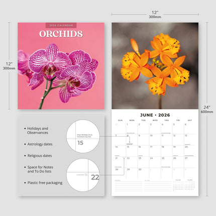 Red Robin Orchidee Kalender 2026