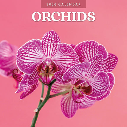 Red Robin Orchidee Kalender 2027