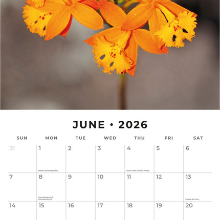 Red Robin Orchidee Kalender 2027