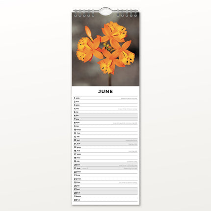 Red Robin Orchideeën Slimline Kalender 2026