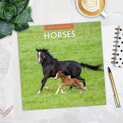 Red Robin Paarden Kalender 2026