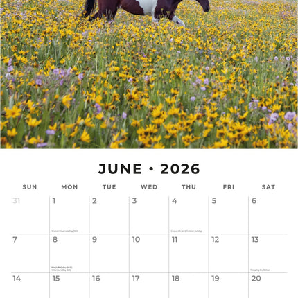 Red Robin Paarden Kalender 2026
