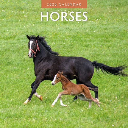 Red Robin Paarden Kalender 2026