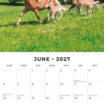 Red Robin Paarden Kalender 2027