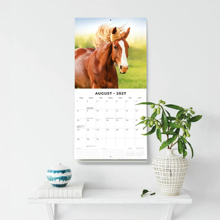 Red Robin Paarden Kalender 2027