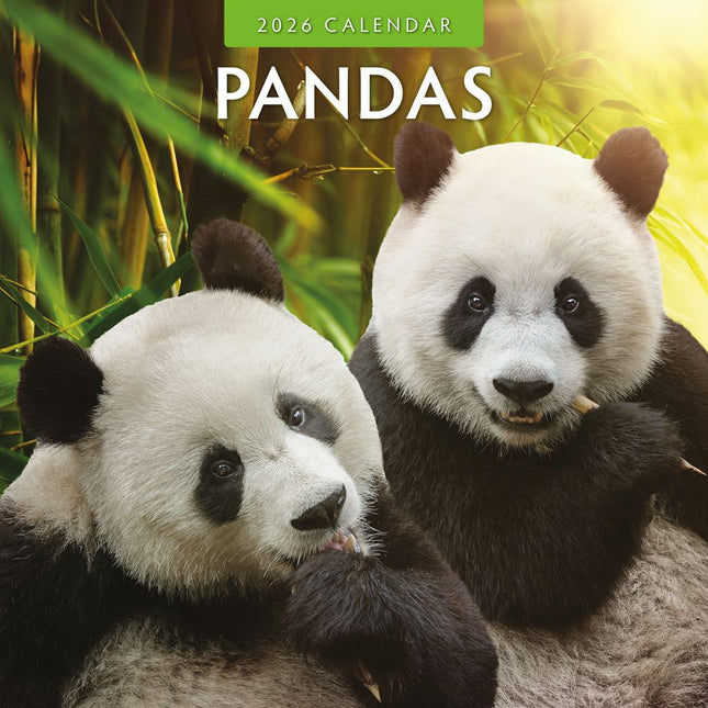 Red Robin Panda Kalender 2026