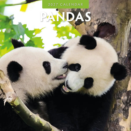 Red Robin Panda Kalender 2027