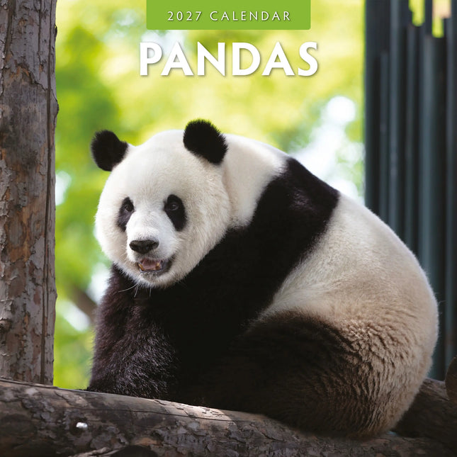 Red Robin Panda Kalender 2027