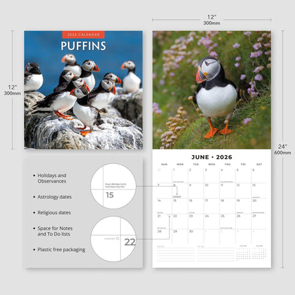Red Robin Papegaaiduiker Kalender 2026