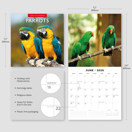 Red Robin Papegaaien Kalender 2026