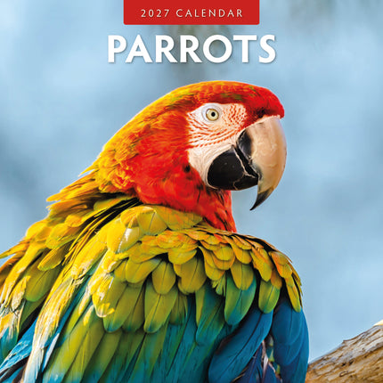 Red Robin Papegaaien Kalender 2027
