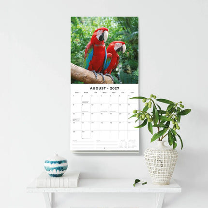Red Robin Papegaaien Kalender 2027