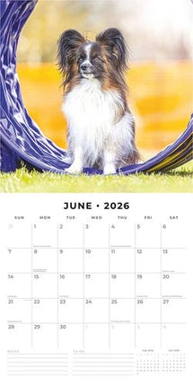 Red Robin Papillon Kalender 2026