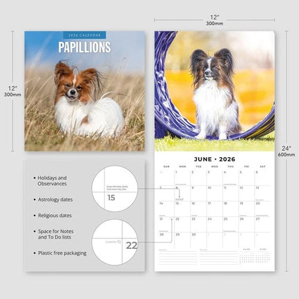 Red Robin Papillon Kalender 2026