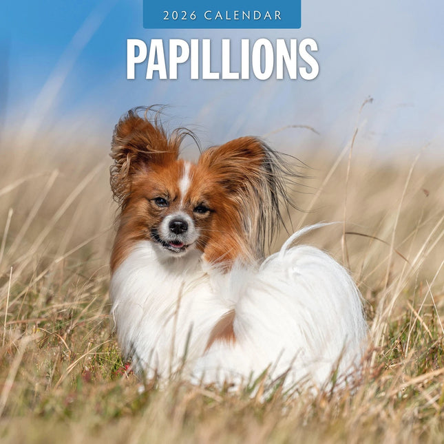 Red Robin Papillon Kalender 2026