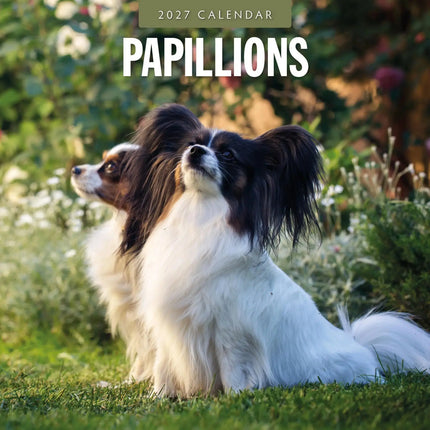 Red Robin Papillon Kalender 2027