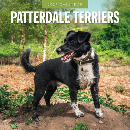 Red Robin Patterdale Terrier Kalender 2027