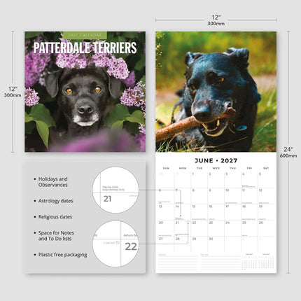Red Robin Patterdale Terrier Kalender 2027