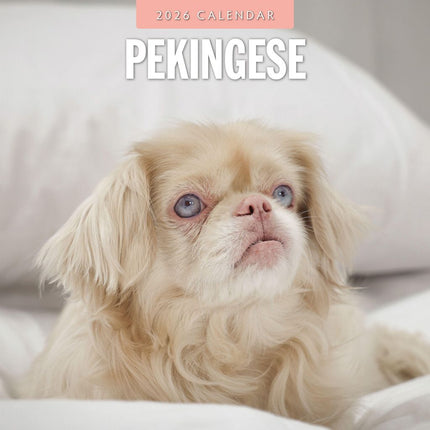 Red Robin Pekingees Kalender 2026