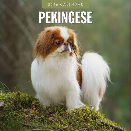 Red Robin Pekingees Kalender 2026