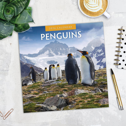 Red Robin Pinguin Kalender 2026