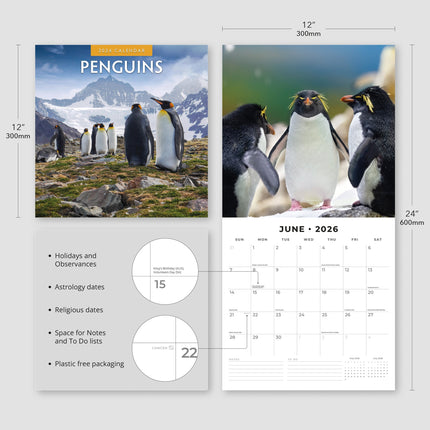 Red Robin Pinguin Kalender 2026