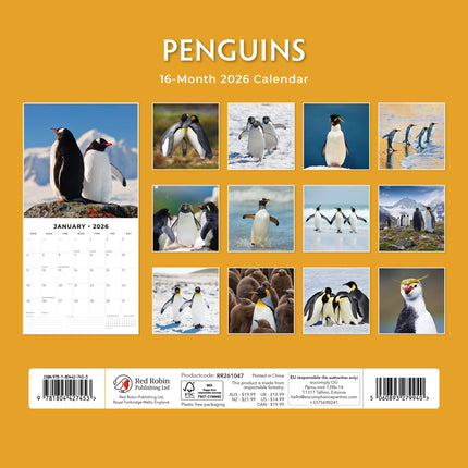 Red Robin Pinguin Kalender 2026