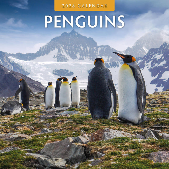 Red Robin Pinguin Kalender 2026