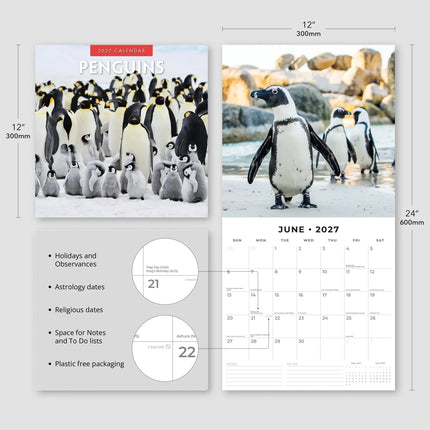Red Robin Pinguin Kalender 2027
