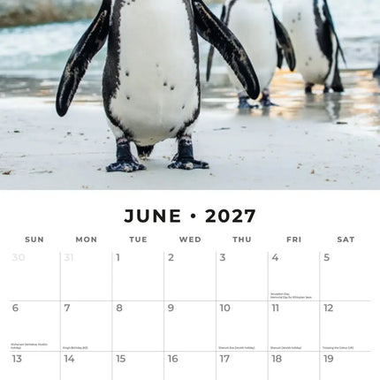 Red Robin Pinguin Kalender 2027