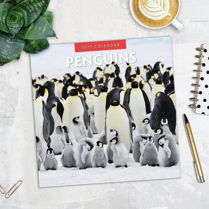 Red Robin Pinguin Kalender 2027