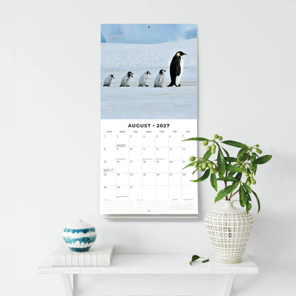 Red Robin Pinguin Kalender 2027