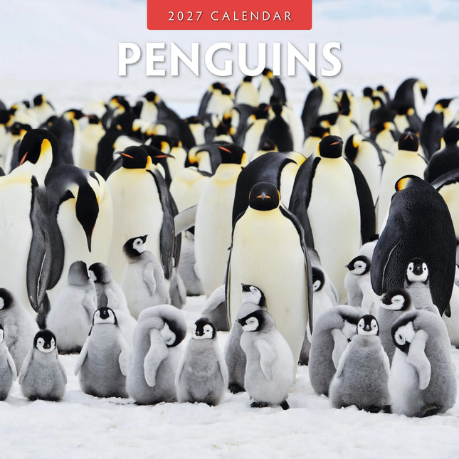 Red Robin Pinguin Kalender 2027