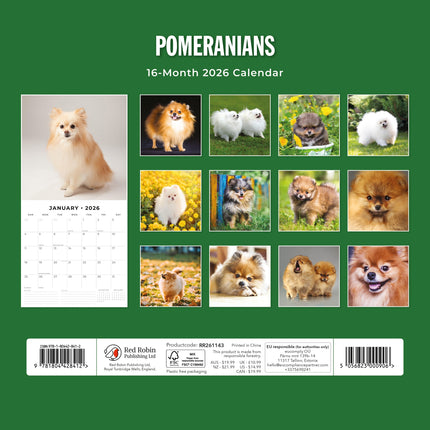 Red Robin Pomeranian Kalender 2026