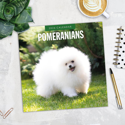 Red Robin Pomeranian Kalender 2026
