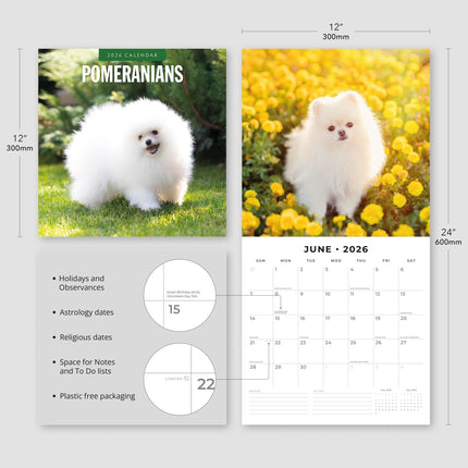 Red Robin Pomeranian Kalender 2026