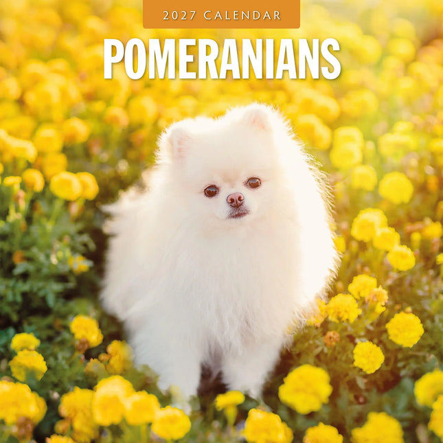 Red Robin Pomeranian Kalender 2027