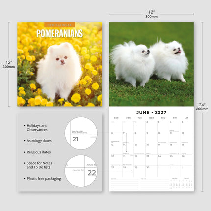 Red Robin Pomeranian Kalender 2027