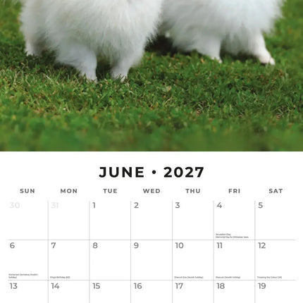Red Robin Pomeranian Kalender 2027