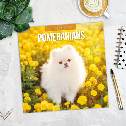 Red Robin Pomeranian Kalender 2027