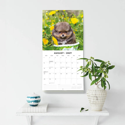 Red Robin Pomeranian Kalender 2027