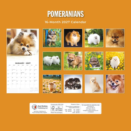 Red Robin Pomeranian Kalender 2027