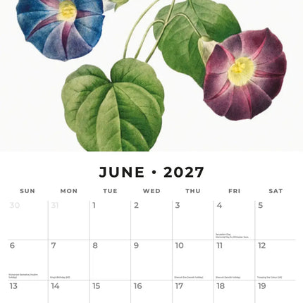 Red Robin Redoute Kalender 2027