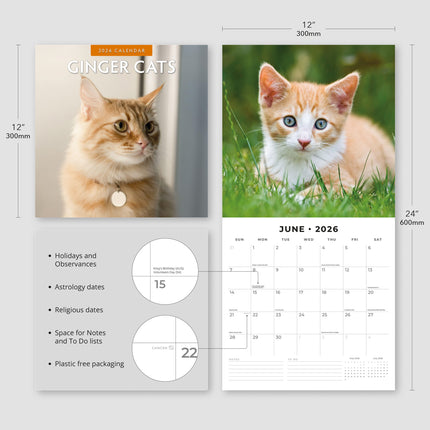 Red Robin Rode Katten Kalender 2026