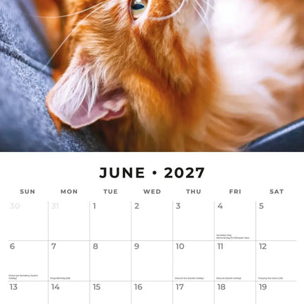 Red Robin Rode Katten Kalender 2027
